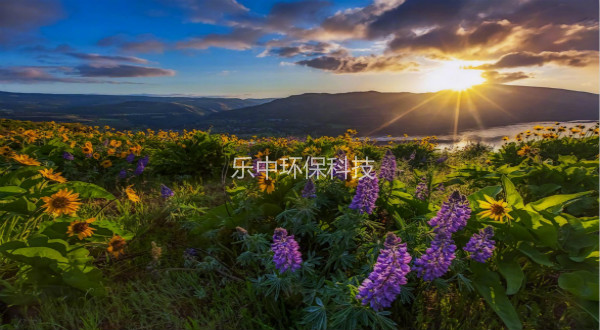 污水處理廠活性污泥法日常管理中，需要監(jiān)測(cè)與注意的參數(shù)-樂(lè)中環(huán)保