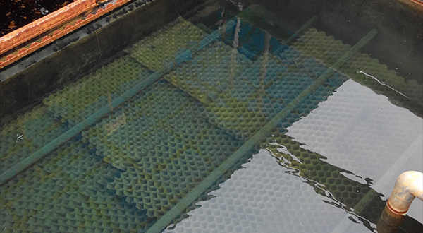 描述污泥特性的指標(biāo)有哪些?-青島樂中環(huán)保科技有限公司