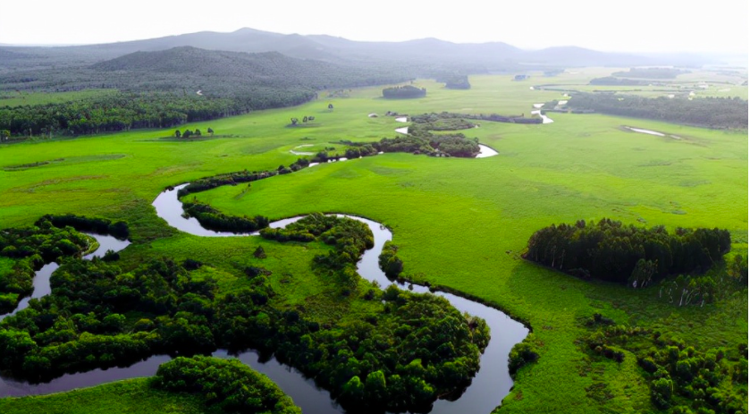 哈爾濱大量污水未經(jīng)處理直排松花江，會對當(dāng)?shù)芈糜螛I(yè)帶來哪些影響