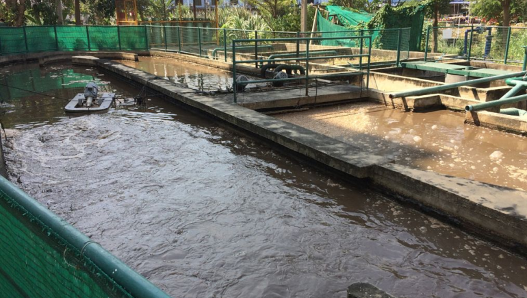 食品加工污水處理流程有哪些？如何更好的處理食品廢水？