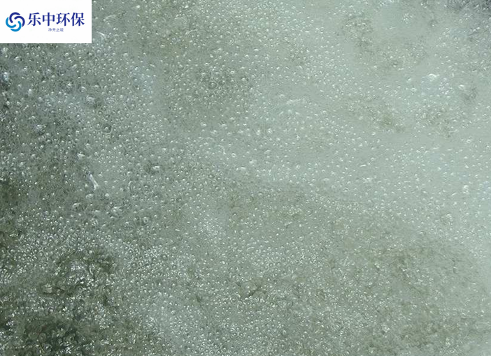 溶氣氣浮機(jī)泡沫多什么原因？如何解決？