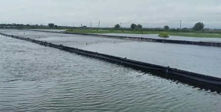 水產養(yǎng)殖尾水處理原理及方法講解（尾水處理設備用途）