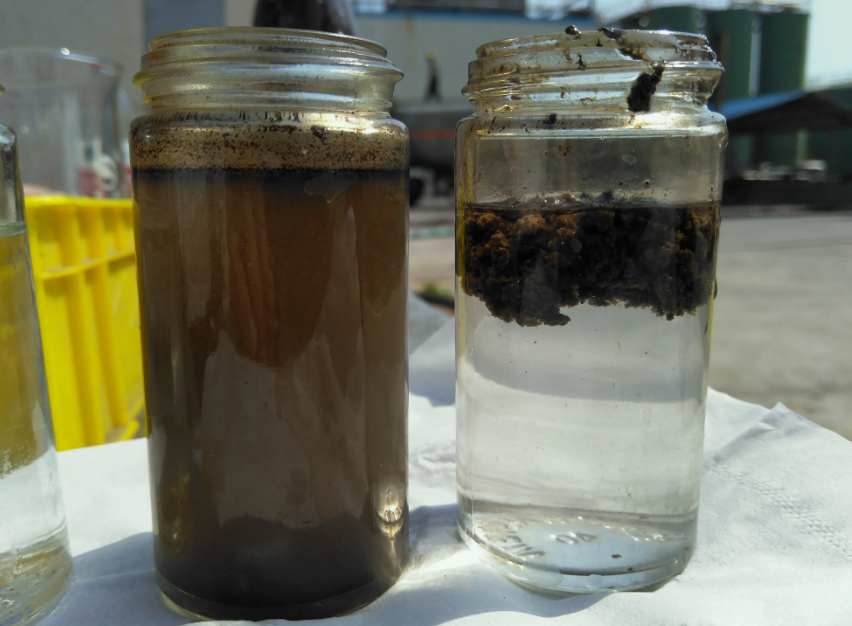 AO工藝出水SS高什么原因|怎么辦？