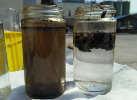 AO工藝出水SS高什么原因|怎么辦？