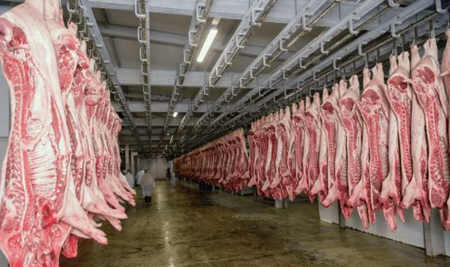 常見(jiàn)的屠宰場(chǎng)設(shè)備有哪些（屠宰場(chǎng)設(shè)備要多少錢）