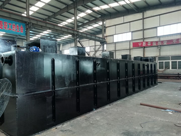 揭秘：海鮮加工廠如何有效處理清洗廢水？